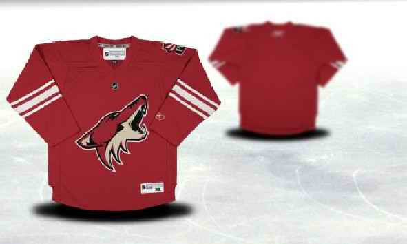 Phoenix Coyotes Youth Customized Red Hockey Jersey